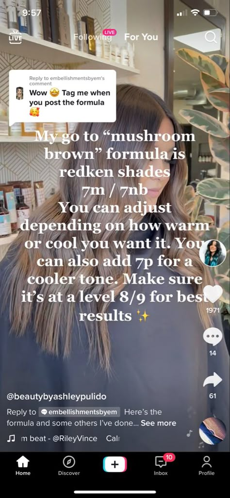 Redken Color Formulas, Redken Toner, Blonde Hair With Brown Highlights, Hair With Brown Highlights, Toner Formulas, Shades Eq Formulas, Redken Formulas, Blonde Hair With Brown, Hair Stylist Tips