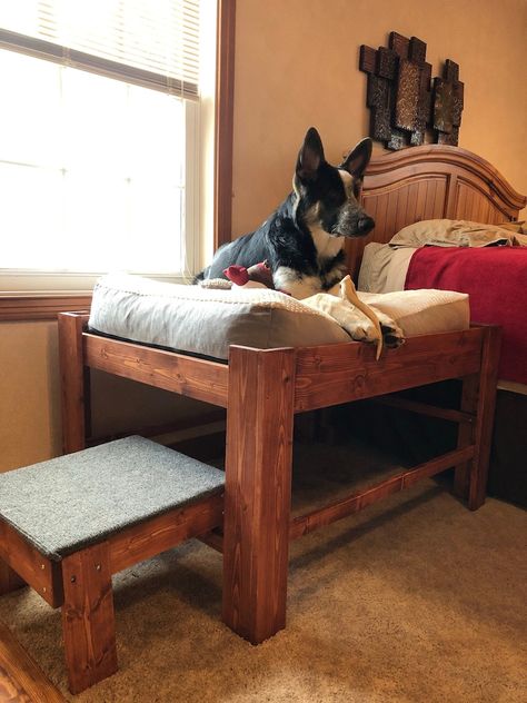 Large Dog Bed with Step or Ramp-Wood Raised Dog Bed Elevated | Etsy Diy Raised Dog Bed, Diy Elevated Dog Bed, Raised Dog Bed, Dog Ramp For Bed, Dog Bed Frame, Wood Dog Bed, Raised Dog Beds, Wooden Dog Bed, Diy Pet Bed