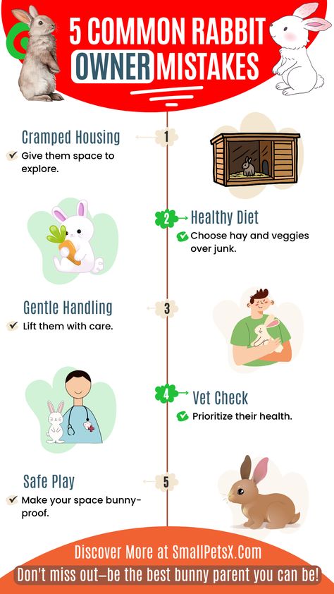 🐰📌 Avoid these common rabbit owner mistakes for a happy, healthy bunny!

Discover essential tips on housing, diet, handling, health checks, and safe play.

Learn these mistakes and more in detail at SmallPetsX.Com and be the best bunny parent you can be! 🐇📖 #RabbitCare #BunnyLove Bunny Tips, Bunny Care Tips, Rabbit Things, Bunny Supplies, Rabbit Behavior, Pet Rabbit Care, Space Bunnies, Female Rabbit, Pet Bunny Rabbits