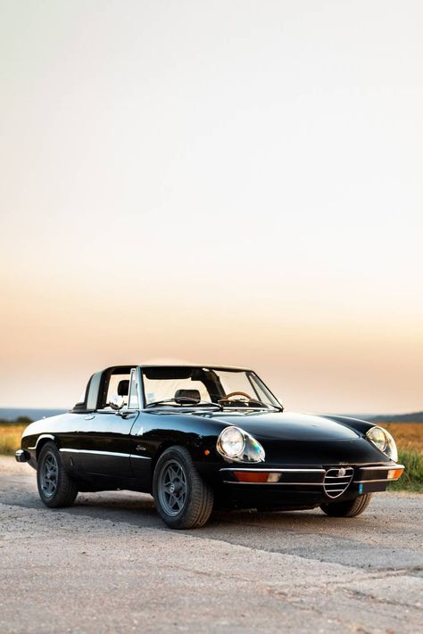 Classic Alfa Romeo, Alfa Romeo Spider Veloce, Swiss Cars, Alfa Spider, Alfa Cars, Ford Mustang Classic, Mustang Classic, Alfa Romeo Spider, Alfa Romeo Cars