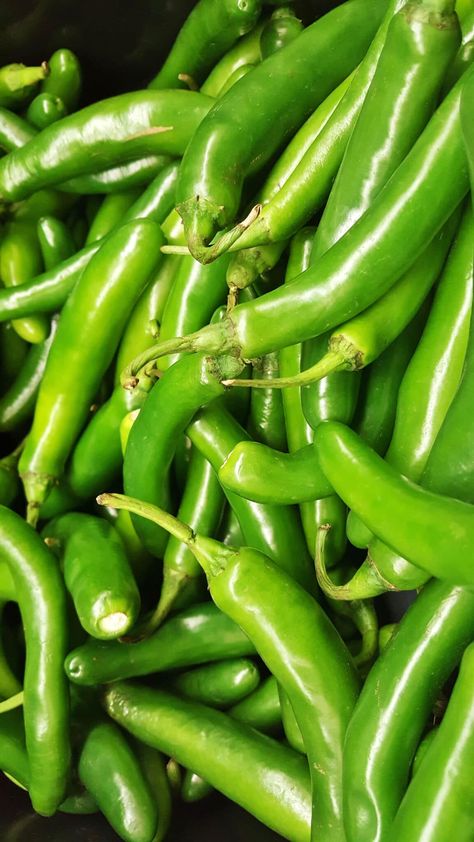 Substitute For Green Chilies - Diced Green Chili Substitutes Ideas Roasted Chili Peppers, Green Color Code, Roasted Green Chili, Vegetables Pictures, Dried Red Chili Peppers, Green Therapy, Green Chili Sauce, Fruits And Vegetables Pictures, Vegetarian Food Recipes