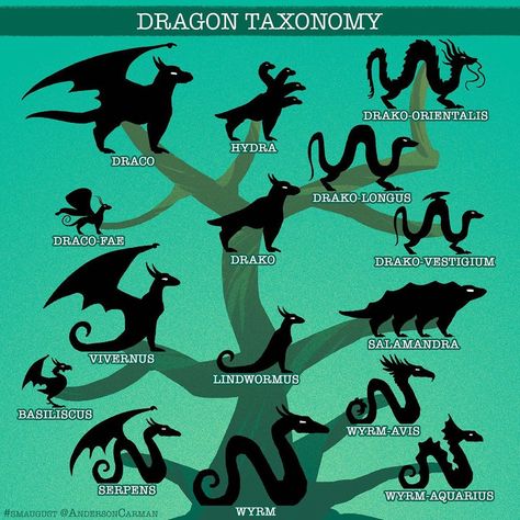 6,580 Me gusta, 55 comentarios - Anderson Carman (@andersoncarman) en Instagram: "Here is a handy guide for all you dragon fans out there of Dragon Taxonomy. - Some dragons have no…" Six Legged Dragon, Dragons Types, Dragon Chart, Dragon Types, Dragon Classes, Dragon Reference, Types Of Dragons, Wings Fairy, Dragon Designs