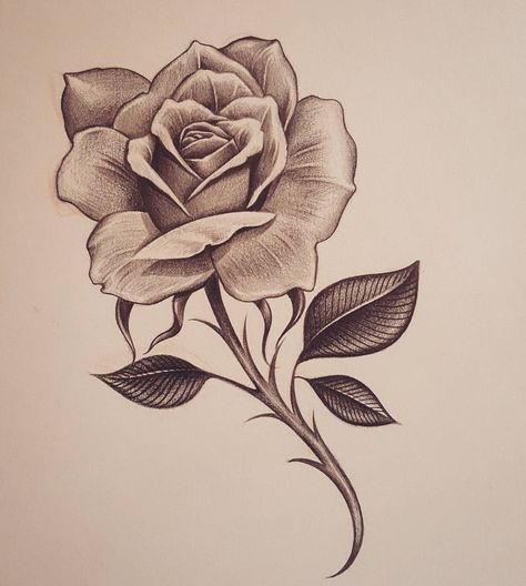 Early, early morning Rose- inkdmonkey@yahoo.com #losangeles #westcoast #mycrazylife #rose #southbay #rosesketch #pencil #sketch #chango… Sketch Instagram, Rose Drawing Tattoo, Pencil Drawings Of Flowers, Monkey Tattoos, Rose Sketch, Kunst Tattoos, Morning Rose, Couple Drawing, Drawing Eyes