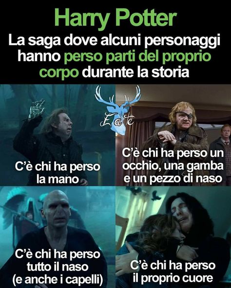 Headcanon Harry Potter, Meme Harry Potter, Harry Potter Quiz, Harry Potte, Harry Potter Tumblr, Harry Potter 2, Harry Potter Love, All This Time, Harry Pottah