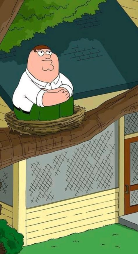 Peter Griffin Wallpaper, Peter Griffin Meme, Family Guy Wallpaper, Griffin Wallpaper, Peter Family Guy, Guy Wallpaper, Scrapbooking Pictures, Family Guy Cartoon, Guy Cartoon