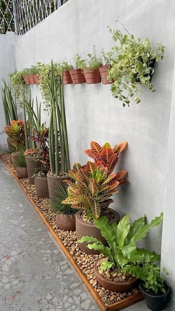 Small Flower Gardens In Front Of House, Outside Decor Ideas Front Yards, Potted Plants Backyard, Small Yard Decor, Small Garden In House, Jardines Exteriores Ideas Design, Ideas Para Patios Pequenos, Ideas Jardines Pequeños, Backyard Ideas Plants