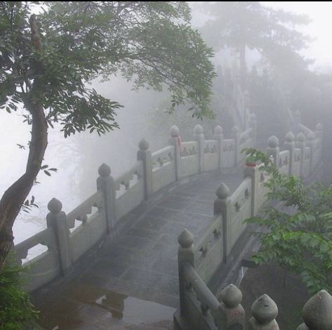 Fatal Frame, Foggy Forest, Japan Aesthetic, The Fog, Nature Aesthetic, The Villain, Horror Game, Pretty Places, Green Aesthetic