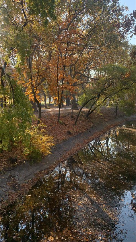 #europe #fall #budapest #hungary Hungary Countryside, Fall In Europe, Countryside Aesthetic, Budapest Hungary, Aesthetic Photos, Aesthetic Photo, Budapest, Hungary, Country Roads