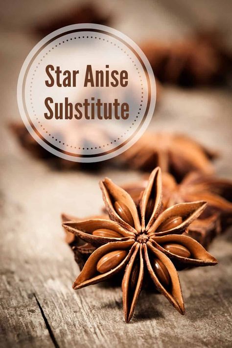 Recipes Using Star Anise, Recipes With Star Anise, Cooking With Star Anise, How To Use Star Anise, Boil Frozen Chicken, Balsamic Vinegar Substitute, Star Anise Photography, Mac Sauce Recipe, Oil Substitute