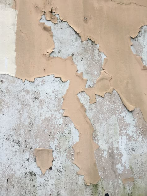 © Jacqs Scourfield - Photography of peeling paint. What happens if my floral patterns were beneath and revealed where paint had peeled away? 2024 Collage, Peeling Wallpaper, Collage Challenge, The Attico, Peeling Paint, Floral Patterns, Shag Rug, Floral Pattern, Sketch Book