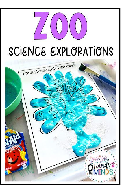 Zoo Science Explorations for Preschool Zoo Animal Science Experiment, Preschool Animal Science, Zoo Animal Science Preschool, Zoo Science Activities Preschool, Zoo Sensory Bin Preschool, Zoo Stem Activities, Wild Animals Preschool Activities, Zoo Activities For Toddlers, Zoo Preschool Activities