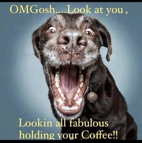 Funny Thursday Images, Kameron Marlowe, Pet Sayings, Coffee Zone, Morning Smile, Disorder Quotes, Coffee Sayings, Coffee Jokes, Coffee Quotes Funny