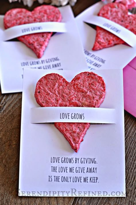 Seed Paper Diy, Seeds Photography, Germinating Seeds, Flower Seed Paper, Heart Favors, Seed Paper, Paper Making, Mors Dag, Valentine Ideas