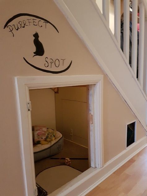 Cat House Under The Stairs, Under Stair Cat House, Cat Nook Under Stairs, Understairs Cat Area, Cat Space Under Stairs, Cat Closet Ideas Under Stairs, Cat Cupboard Under Stairs, Under Stair Cat Litter, Cat Closet Under Stairs