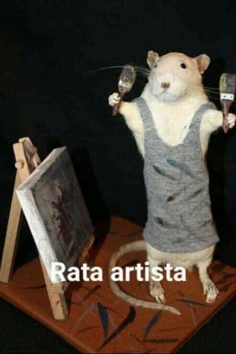 Taxidermy Rat, Rattus Rattus, Funny Rats, Chat Kawaii, A Rat, Cute Rats, Cute Hamsters, Pet Rats, Silly Animals