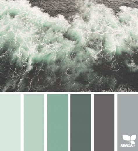 Color Sea Bathroom Ideas Color, Apartment Bathroom Ideas, Seeds Color, Color Concept, Design Seeds, Apartment Bathroom, Interior Paint Colors, Bath Room, Paint Colors For Home