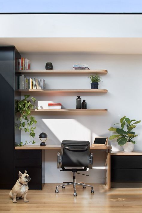 Curvy House by Ben Callery Creates an Illusion of Space Curvy House, Shelves Above Desk, Architect Inspiration, Above Desk, Office Shelves, Floating Shelves Ideas, Home Office Shelves, Diy Floating Shelves, Office Shelf