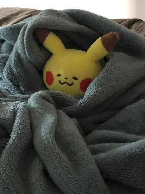 Pikachu Plush Pfp, Plushie Wallpaper Aesthetic, Pokemon Plush Pfp, Pokemon Plushie Pfp, Pokemon Plushies Aesthetic, Plush Aesthetic, Worst Day Of My Life, Caring Person, Pikachu Plush