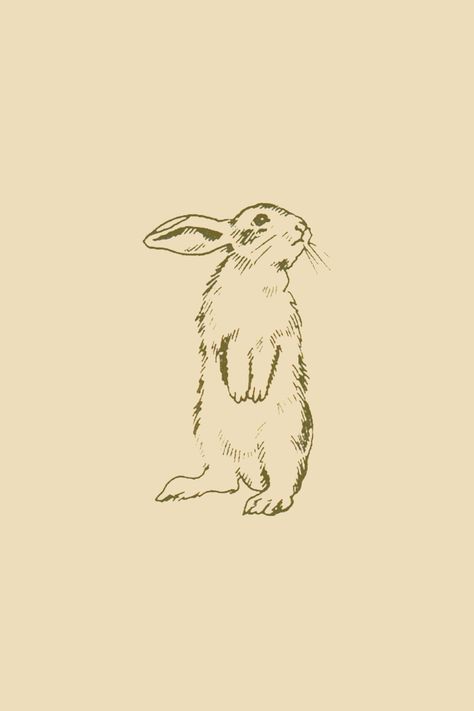 Bunny Drawings Aesthetic, Simple Rabbit Illustration, Bunny Illustration Vintage, Rabbit Drawing Aesthetic, Bunny Poster Aesthetic, Bunny Sketch Tattoo, Bunny Rabbit Illustration, Vintage Bunny Tattoo, Rabbit Heart Tattoo