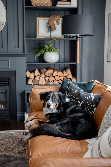 This color scheme for lounge area- came couch, black and white accents, dark blue walls  brownleathercouchdarkwallscraftberrybush-4 Dark Lounge, Color Couch, Tan Couch, Couch Black, Tan Leather Sofas, Leather Couches Living Room, Best Living Room Design, Dark Blue Walls, Leather Sofa Living Room