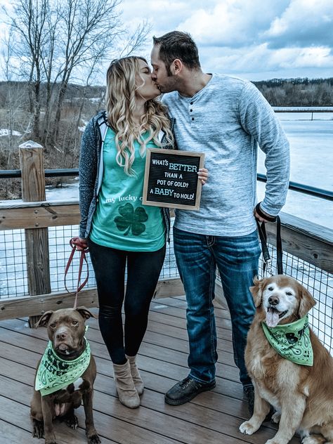 Baby Accouncement, Pet Pregnancy Announcement, St Patricks Baby, Pregnancy Announcement To Parents, Dog Baby Announcement, Twin Pregnancy Announcement, Pregnancy Announcement Photoshoot, Dog Pregnancy Announcement, March Baby