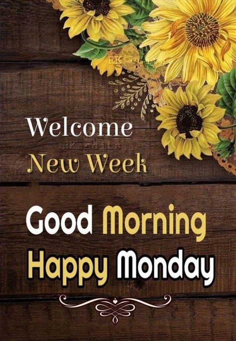 Beautiful Monday Quotes, Monday Morning Images, Monday Morning Greetings, Monday Morning Wishes, Monday Morning Inspiration, Happy Monday Images, Monday Greetings, Happy Monday Quotes, Happy Monday Morning