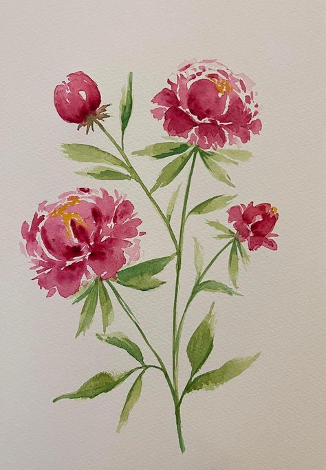 Peony Flower Watercolor, Watercolor Peony, Peony Watercolor, Simple Watercolor Art, How To Paint A Peony In Watercolor, Watercolour Peony Tutorial, Easy Watercolor Peony, Painted Peonies Simple, Floral Watercolor Paintings