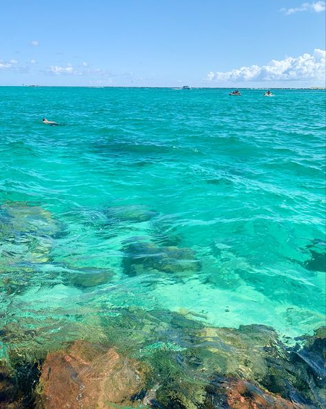 Clear Tropical Water, Tropical Water Aesthetic, Aesthetic Tropical Pictures, Crystal Clear Ocean Water, Clear Beach Aesthetic, Ocean Reef Aesthetic, Summer Water Aesthetic, Clear Ocean Water Aesthetic, Tropical Ocean Aesthetic