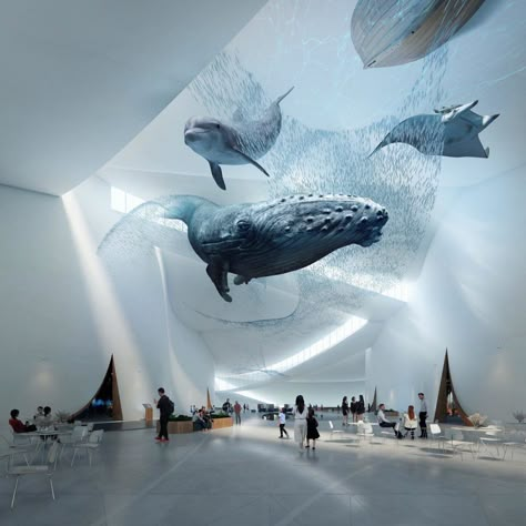 Why was Shenzhen's Maritime Museum by 3XN a Top Finalist? - Arch2O.com Museum Proposal, Aquarium Architecture, Floating Architecture, Marine Science, Open Architecture, Aquarium Design, Museum Architecture, Maritime Museum, Science Museum