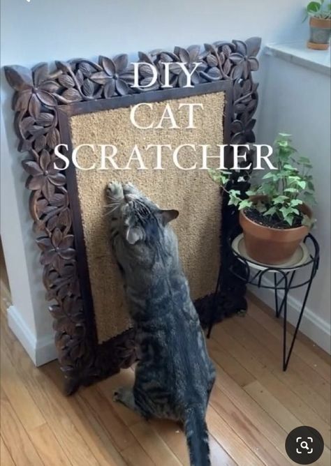 Diy Cat Scratcher, Katt Diy, Katt Grejer, Diy Cat Tree, Cat House Diy, Diy Cat Toys, Cats Diy Projects, Cat Playground, Homemade Cat