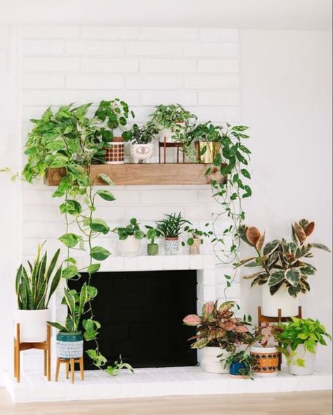 Plant Stands By Fireplace, Plants Over Fireplace, White Walls With Fireplace, Bohemian Fireplace Mantle, Fireplace With Plants Decor, Plant In Fireplace, Plant Mantle Decor, Mantle Plant Decor, Fireplace Mantle Plants