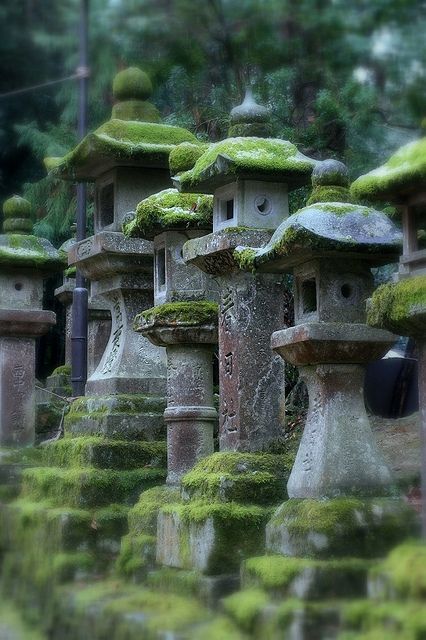 Mossy stone lanterns - Nara, Japan - The Kasuga Grand Shrine features over 3000 antique stone and bronze lanterns from the 11th century, all repaired every 20 years. Founded in 788 AD, it is actually 4 Shrines consecrated to different Shinto deities Mossy Stone, Stone Lantern, Asian Garden, Moss Covered, Zen Gardens, Moss Garden, Japanese Gardens, Art Japonais, Zen Garden