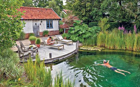 The wild rise of posh ponds | The Telegraph Decking Over Pond, Mediterranean Landscape Design, Swimming Pool Pond, Swimming Ponds, Natural Swimming Ponds, Pool Landscape Design, Swimming Pond, Pond Landscaping, Natural Pond