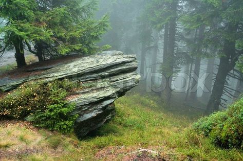 Rock in mist of forest | Stock Photo | Colourbox Forest Walk, Natural Cave, 8bit Art, Foggy Forest, Landscape Scenery, Fantasy Art Landscapes, Environment Concept Art, Environmental Art, Warrior Cats