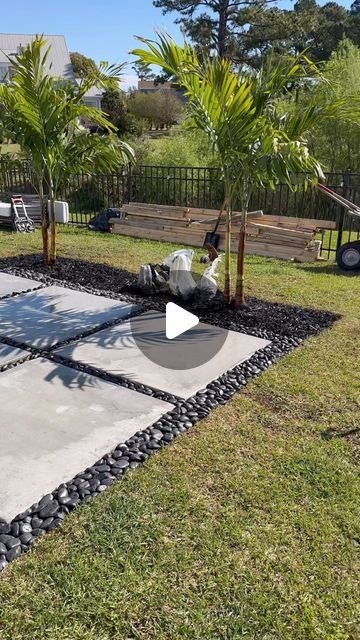 Tenesia & Terence | NC on Instagram: "Adding palm trees to our backyard 🌴 Everyone convinced us to add rocks to the perimeter (12 more bags) but we are keeping mulch with the palms. I want to add some type of smaller plant between the palms but can’t decide what yet. 

For the fence corner, we went with one bigger palm (I think it’s a Pygmy date palm) and ground coverage flowers along the edge

#backyard #diycouple #landscapingideas #backyardideas #diy #palmtrees #homeimprovement #backyarddesign #homeprojects" Palm Tree Garden Ideas Front Yards, Backyard Palm Tree Ideas, Lipstick Palm Landscaping, Palm Tree Backyard Landscaping, Potted Palm Trees Outdoor, Modern Back Garden Design, Palm Tree Landscape Ideas Backyards, Diy Desert Landscaping, Palm Tree Landscape Ideas Front Yards