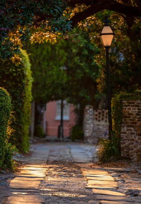 Charleston, SC Studio Background Ideas, Outdoor Background, Instagram Backgrounds, Advanced Photography, Photoshop Backgrounds Backdrops, Nature Background Images, Blurred Background Photography, Photography Studio Background, Beach Background Images