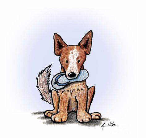 Cattle Dog Drawing, Red Heeler Dog, Aussie Cattle Dog, Chihuahua Tattoo, Dual Citizenship, Animal Templates, Wa State, Red Heeler, Illustrator Artist