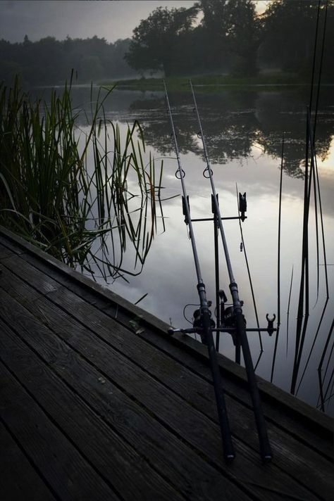 Fishing Wallpaper, Aesthetic Fishing Wallpaper, Fishing Wallpaper Iphone, Fish On Hook, Fishing Aesthetic, Night Fishing Aesthetic, Pesca Aesthetic, Fishing Asethic, Fishing On Boat Aesthetic