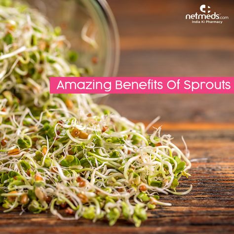 Amazing Benefits Of Sprouts Bean Sprouts Benefits, Sprout Benefits, Sprouts Benefits, Quick Fat Loss, Mediterranean Diet Meal Plan, Ideal Body Weight, Digestion Process, Fiber Rich Foods, Reduce Cholesterol