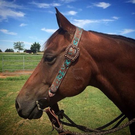 Western Riding Tack, Diy Horse Tack, Diy Horse Stuff, Barrel Racing Tack Rodeo, Bling Horse Tack, Horse Tack Diy, Headstalls For Horses, Horses Stuff, Horses Tack