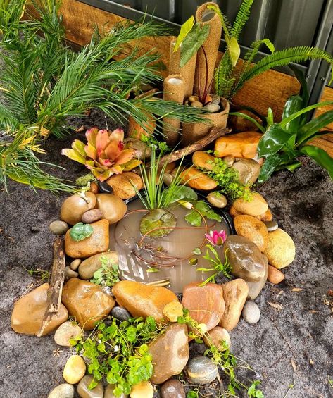 Frog Hotel & Lilly Pond Frog Ponds Backyard Diy, Mini Frog Pond, Frog Hotel Ideas, Frog Ponds Backyard, Frog Hotel, Build A Frog, Pond Inspiration, Frog Fairy, Sanctuary Garden