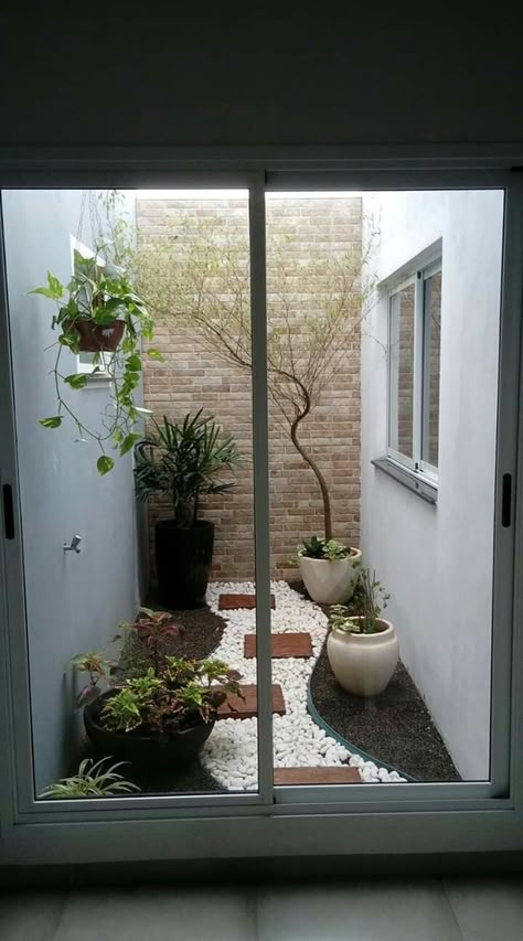 Atrium Garden Ideas, Airwell Garden, Small Atrium Ideas Indoor, Small Indoor Courtyard Ideas, Airwell Design, Ots Design In House, Small Indoor Courtyard, Indoor Courtyard Garden, Gardening Tattoo