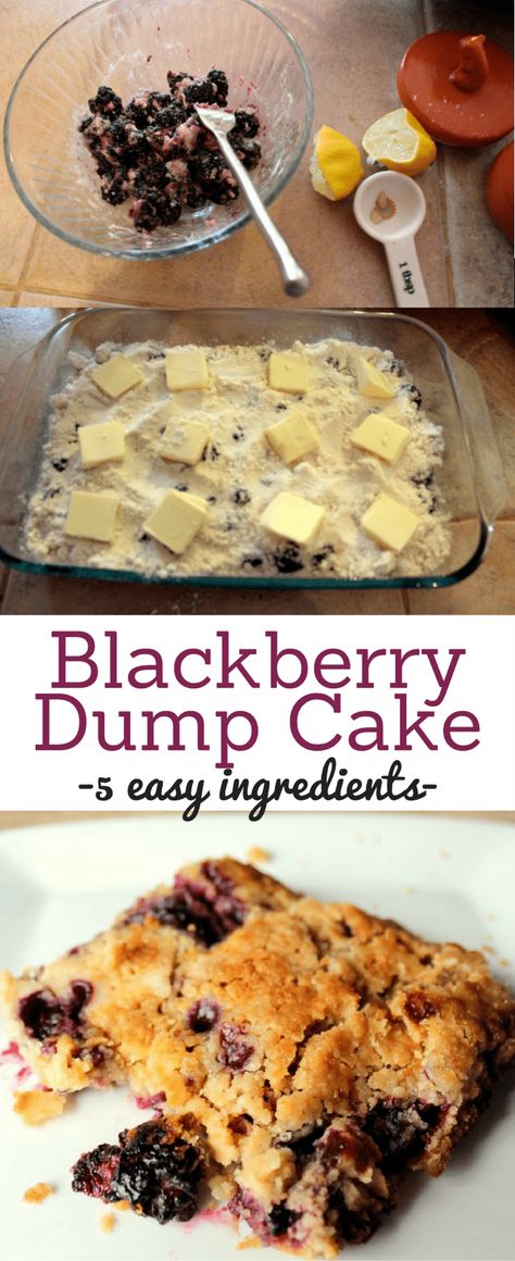 Blackberry Dump Cake, Easy Dump Cake Recipes, Cake Blackberry, Cake Mix Cobbler, Mix Berry, Blackberry Dessert, Blackberry Crumble, Blackberry Cake, Weight Watcher Desserts