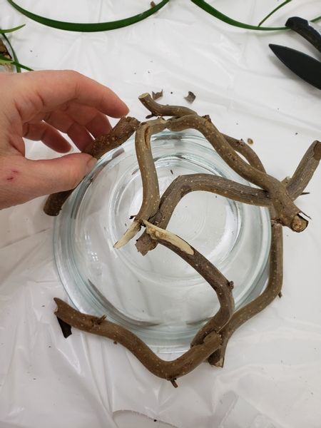 Place the twig snippets all around the bowl and secure them with hot glue Corkscrew Willow Branches Decor, Twig Baskets Diy, Twig Snowflakes Diy, Twig Crafts Diy, Twigs And Branches Decor, Twig Art Diy Tree Branches, Tree Branch Ideas, Tree Branch Decor Diy, Twig Centerpieces