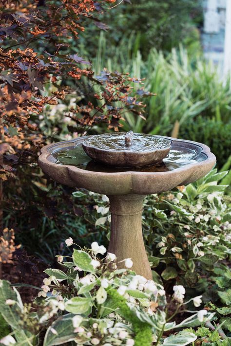 Garden Fountain Ideas, Craftsman Landscaping, Fountain Decor, Bird Fountain, Bird Bath Fountain, Bird Bath Garden, Areas Verdes, Bird Baths, Garden Decor Ideas