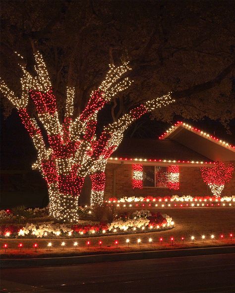 Red Christmas Lights, Christmas Lights In Bedroom, Holiday Lights Outdoor, Christmas Outside, Lights Outside, Christmas Lights Outside, White Christmas Lights, Mini String Lights, Christmas House Lights