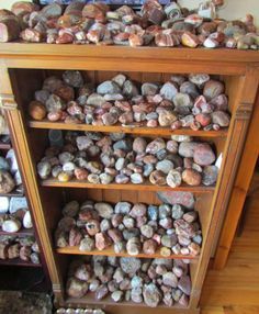 Rock Collection Storage, Rock Collection Display, Michigan Rocks, Rock Tumbling, Agate Rocks, Rock Collecting, Lake Superior Agates, Rocks And Fossils, Rock Hunting