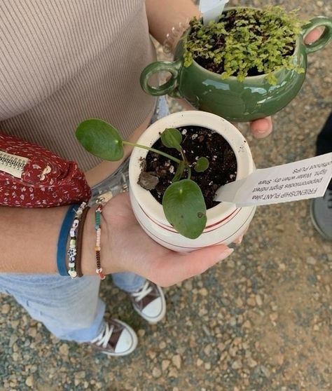 demeter aesthetic Lemon Balls, Plant Aesthetic, روتين العناية بالبشرة, Pretty Plants, Plant Mom, The Marauders, Green Aesthetic, Pretty Pictures, Potted Plants