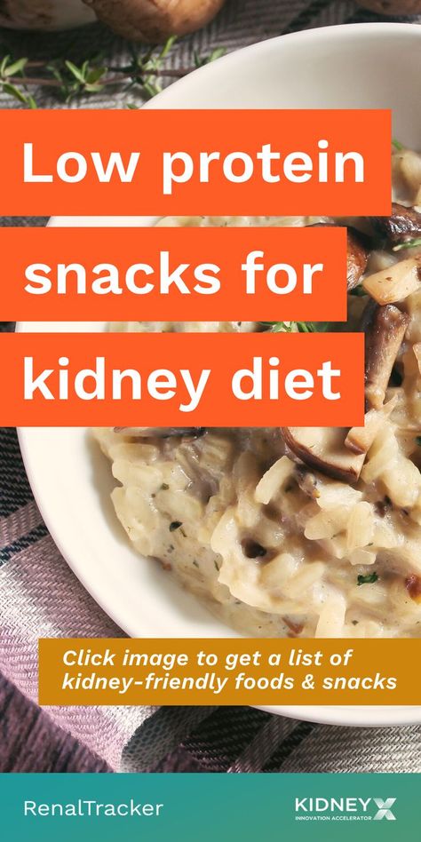 One of the most important factors in managing chronic kidney disease is following a low-protein diet that can help reduce workload on your kidneys. Click image to get a list of kidney-friendly foods and snacks you can eat. Kidney Diet Food Lists, Renal Friendly Recipes, Low Protein Foods, Ckd Diet, Protein Foods List, Kidney Friendly Recipes Renal Diet, Healthy Kidney Diet, Protein Diet Recipes, Low Protein Diet