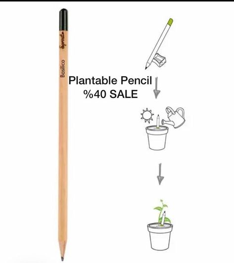 Plantable Pencil, Seed Pencil, Let Love Grow, Personalized Pencils, Baptism Favors, Christening Gifts, Eco Friendly Gifts, Wedding Favors, Personalized Gifts